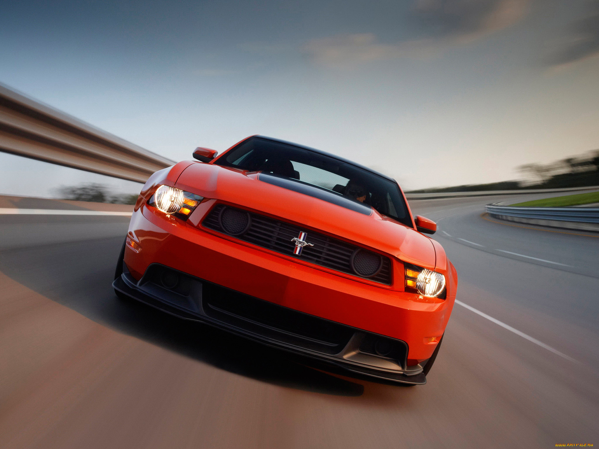 , mustang